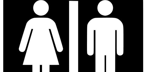 Sexual_Culture's profile banner image