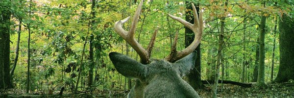 olivia_milloway Profile Banner