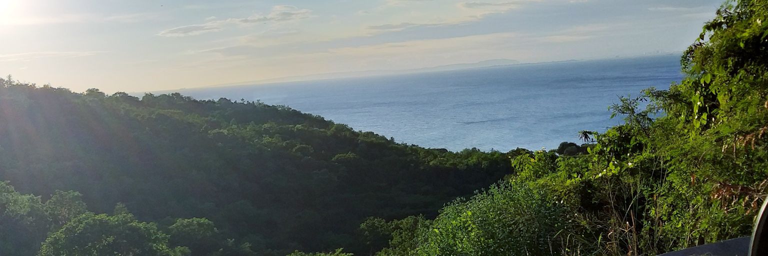 draymattis's profile banner image