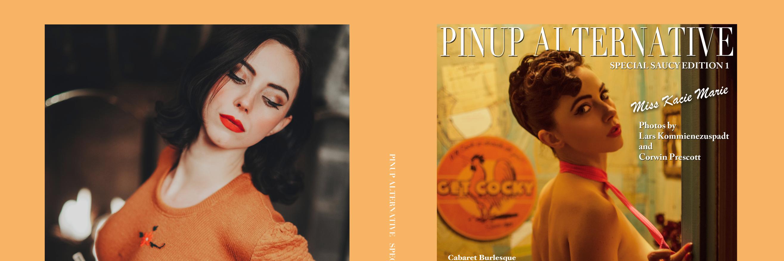 pinupaltmag's profile banner image