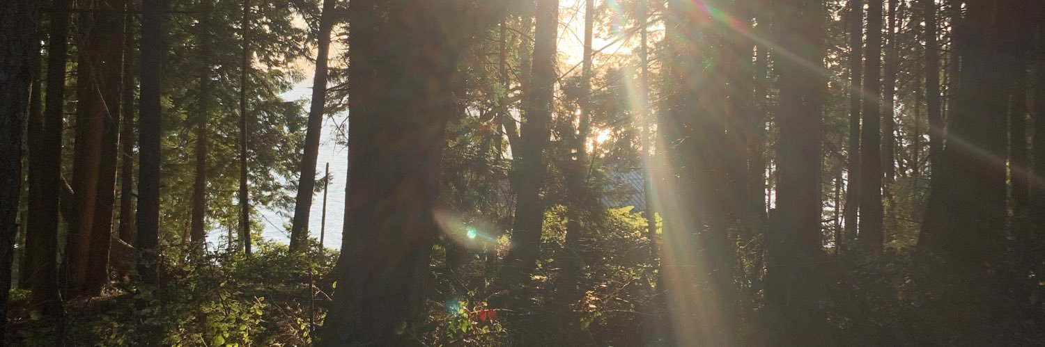 whlippitt's profile banner image