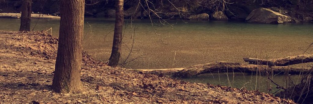 susankellerr's profile banner image