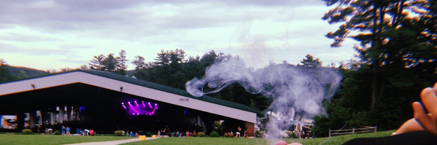 Molly banner