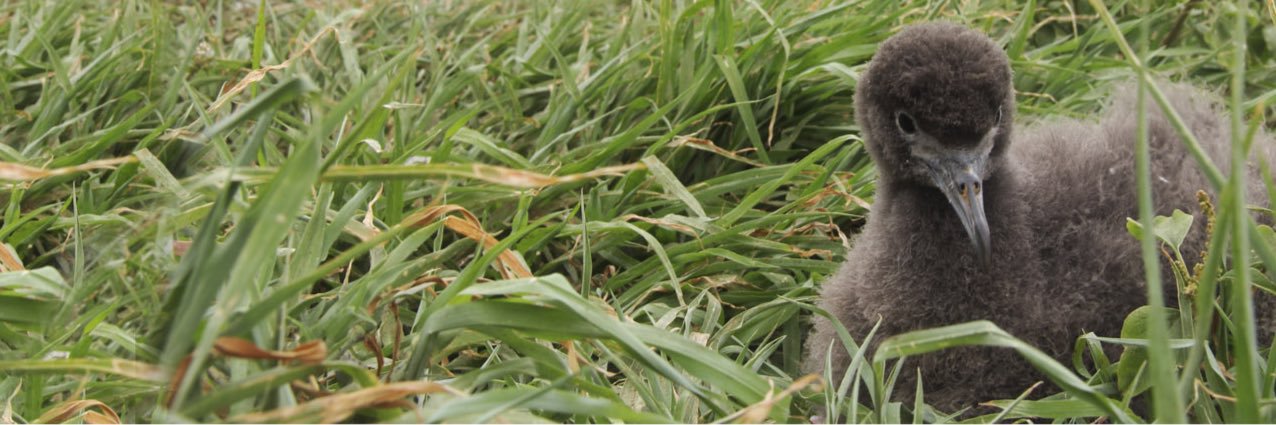 CanuckBiologist's profile banner image