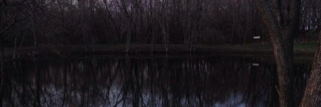 bweidner4's profile banner image