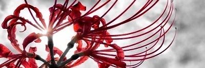 uta_666_'s profile banner image