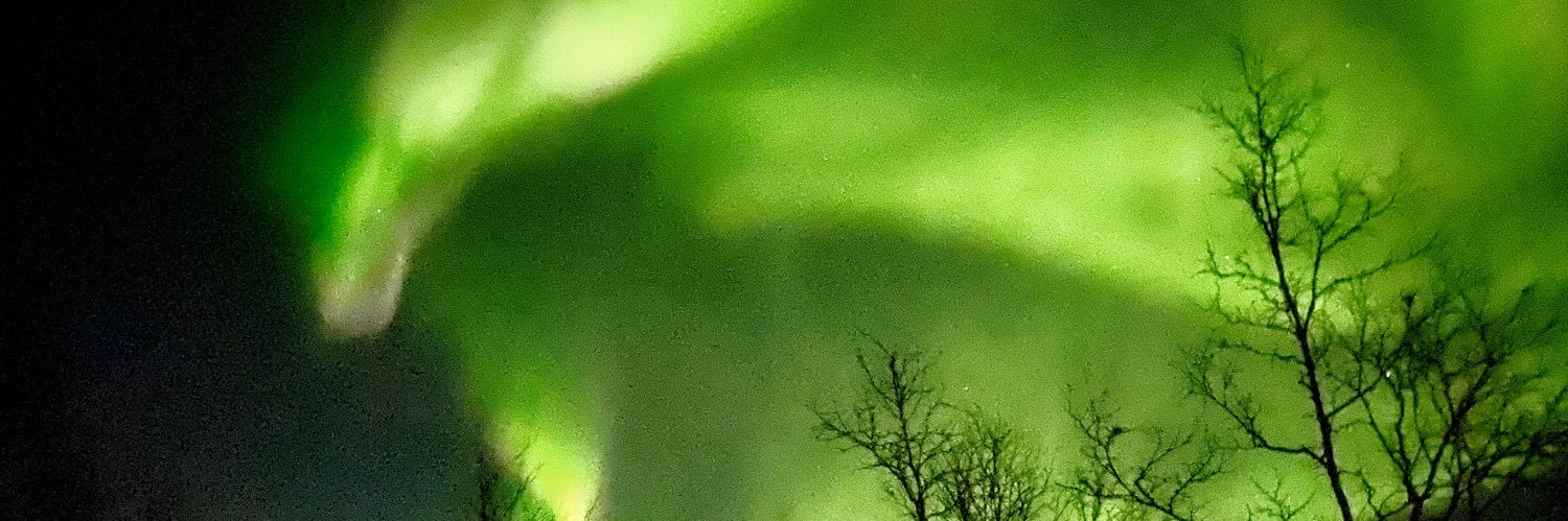 sonia_wheeler's profile banner image