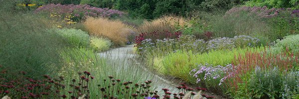 BL_Abba Profile Banner