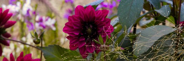 HTAnews Profile Banner