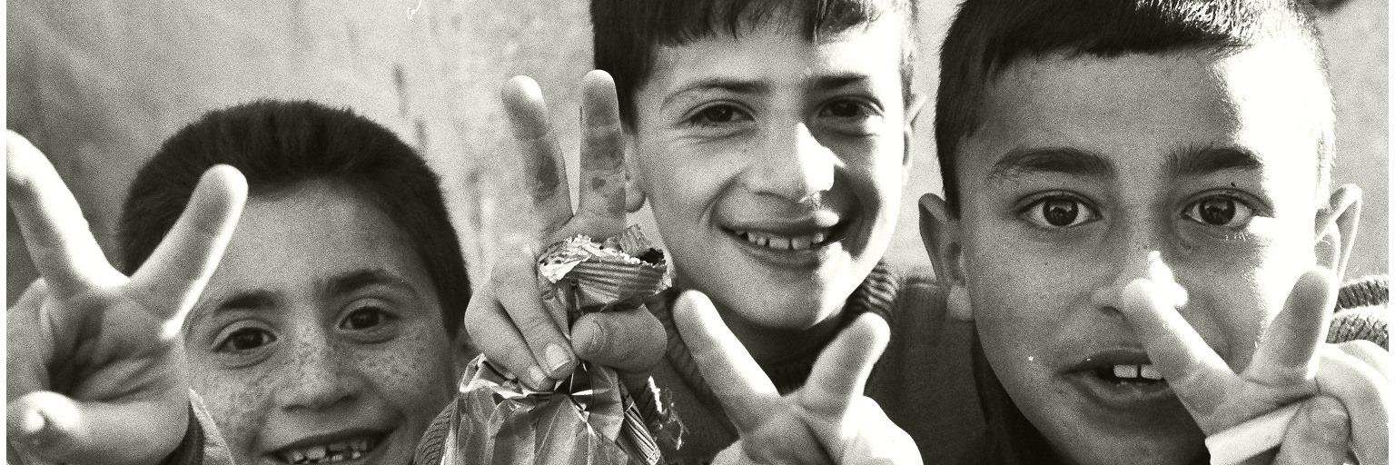 Ísland-Palestína banner