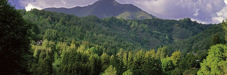 Jeffrey Graham banner