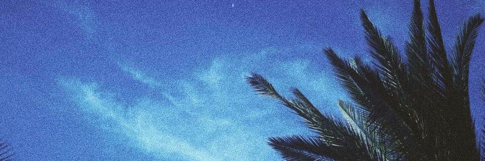 Dude_Kali's profile banner image