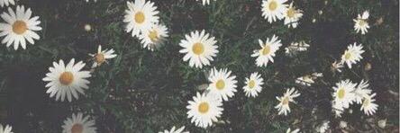 Kauany Duarte banner