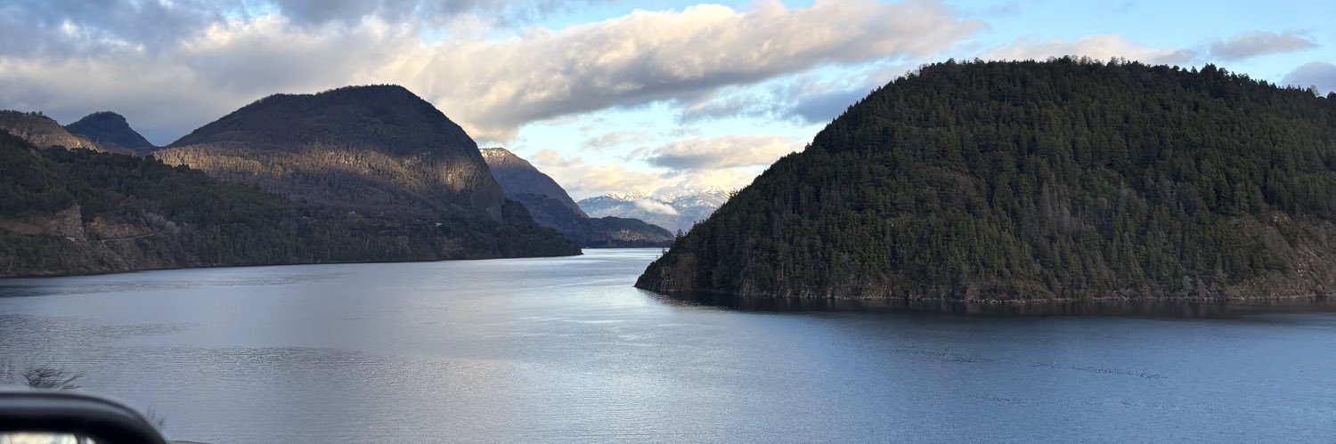 Gringa de la patagonia banner