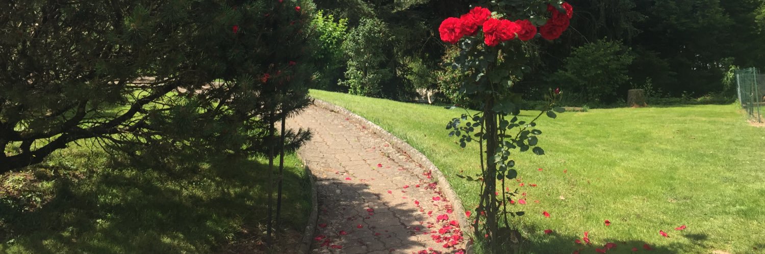 COPIER Sylvain banner