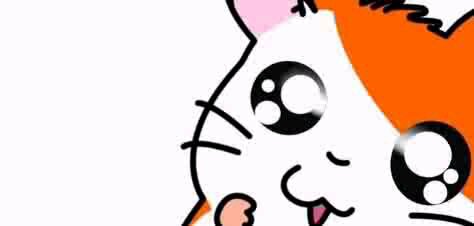 Hamtaro🐹 banner