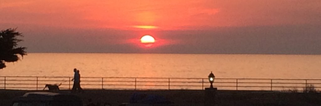 LoeswickSurf's profile banner image
