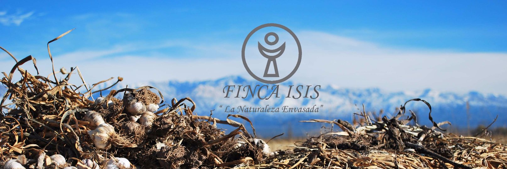 FincaIsis's profile banner image