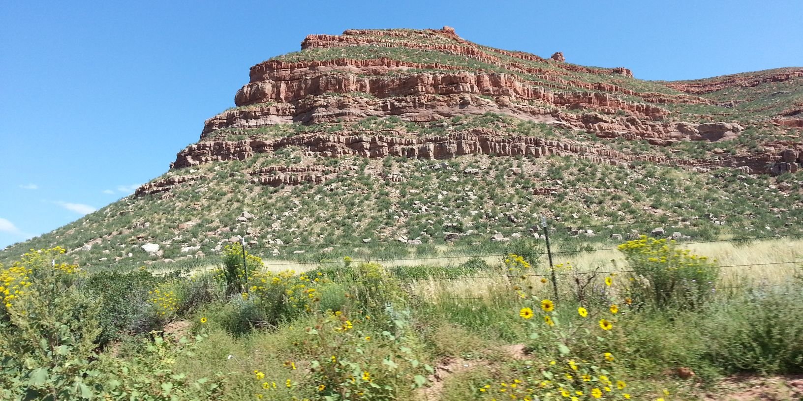 PoodleHead 57/The LOUD One 🌛🌛🌊🌊🌞🌞 banner