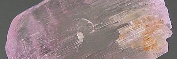 lithiumcoins Profile Banner