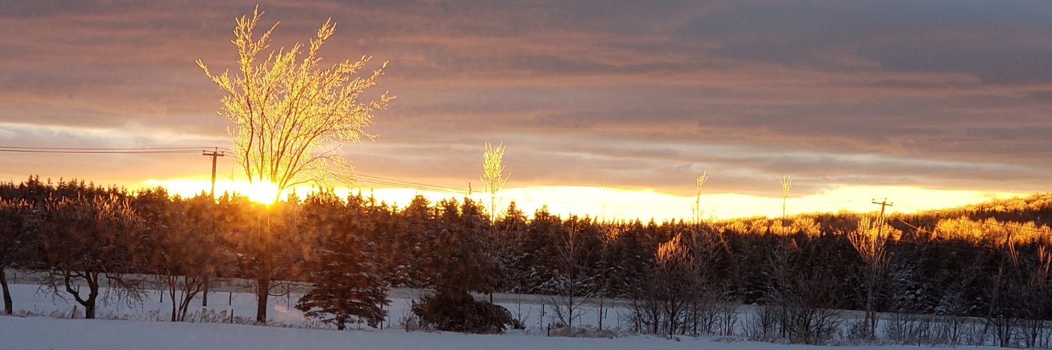 hibeaul's profile banner image