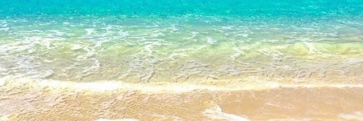 vicswfl's profile banner image