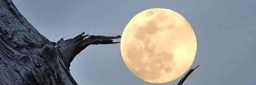 OntitaG's profile banner image