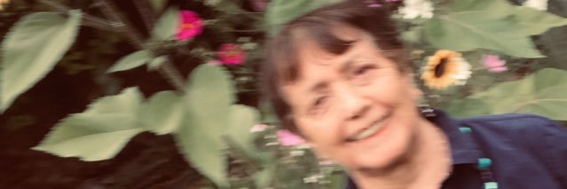 FaithForster1's profile banner image