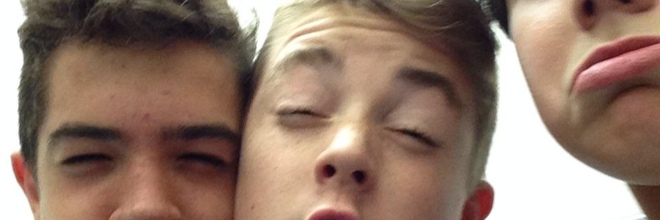 Emile Faure banner
