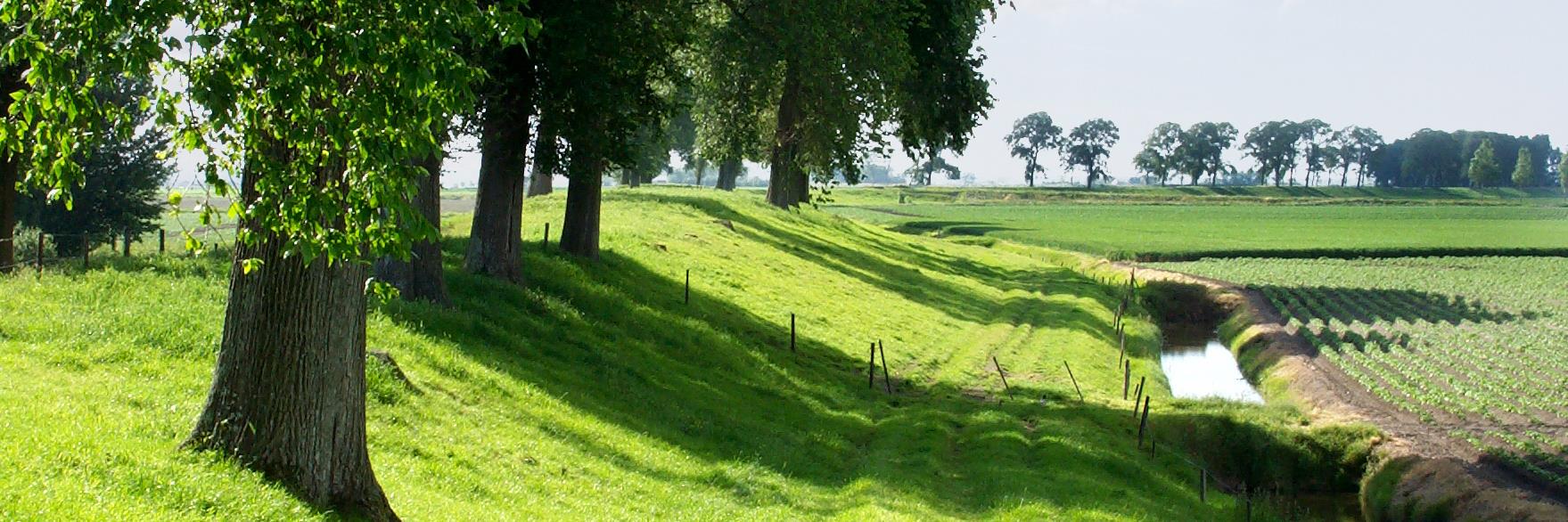 Natuurlijk Kapitaal banner