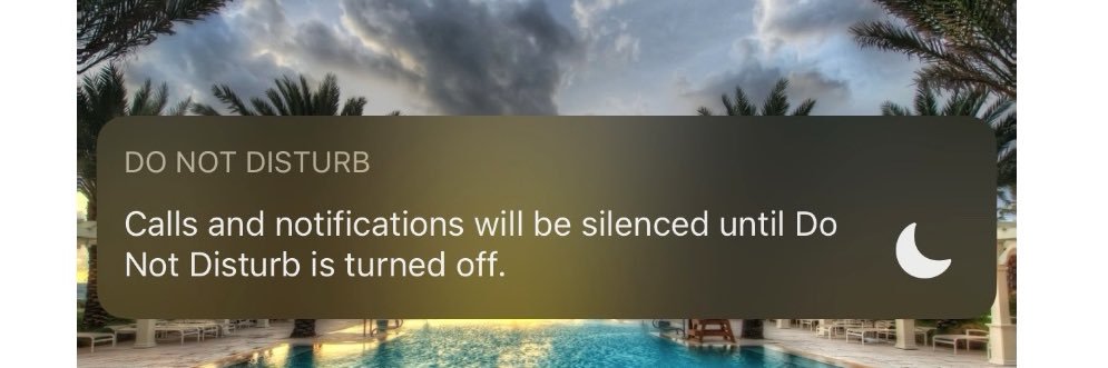 𝘾𝙝𝙖𝙣𝙩𝙚𝙡 banner