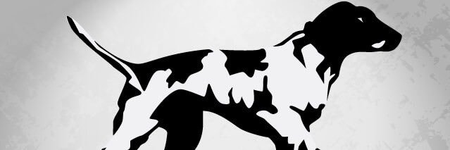 CoachBatey's profile banner image