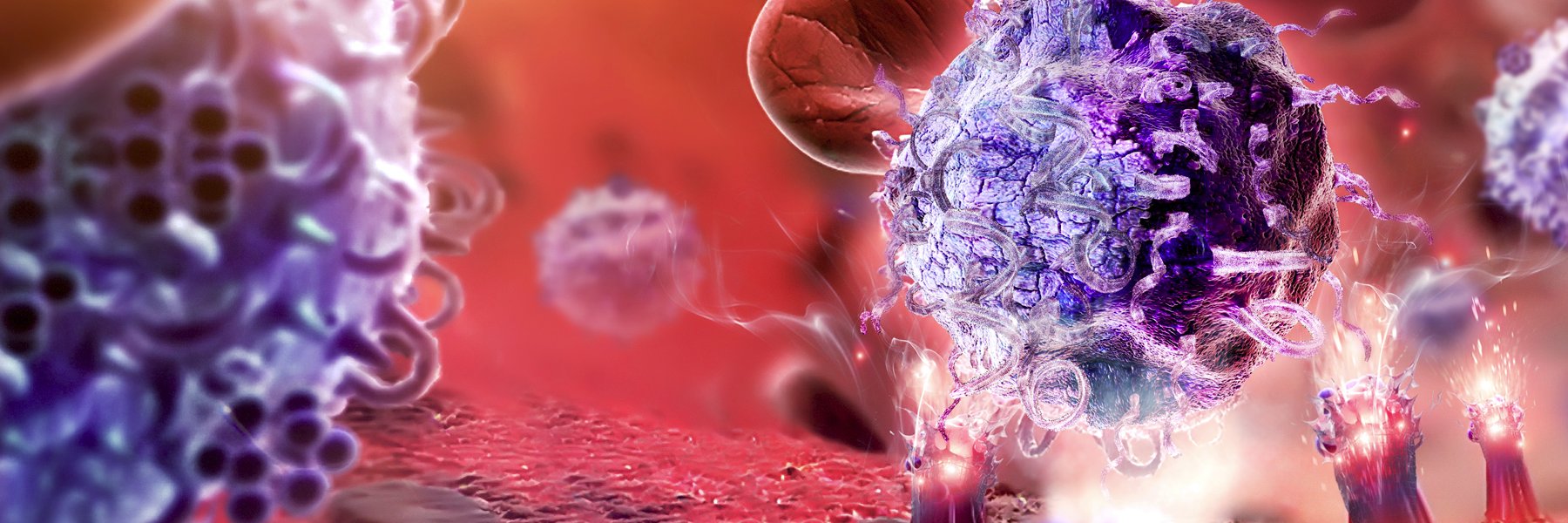 Rebecca Sosa, PhD, F(ACHI) banner