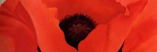 Carla_Brogan's profile banner image
