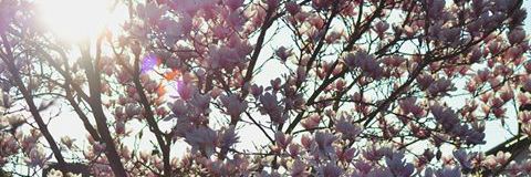 kathygreen97's profile banner image