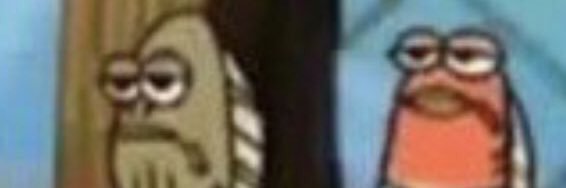 duda banner