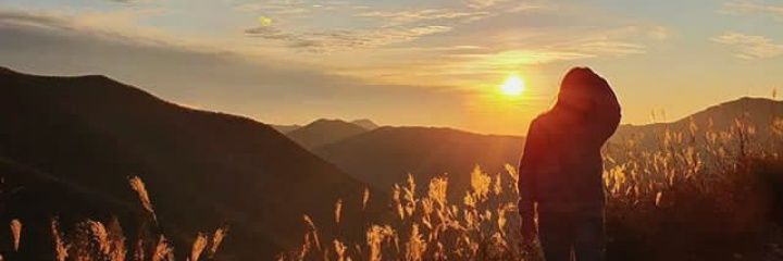 UniiDream's profile banner image