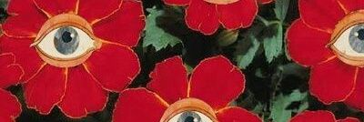 MariBonetto_'s profile banner image