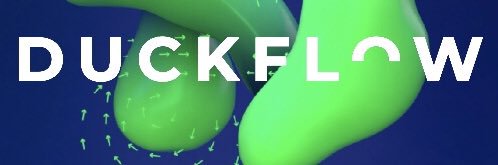 duckflownl's profile banner image