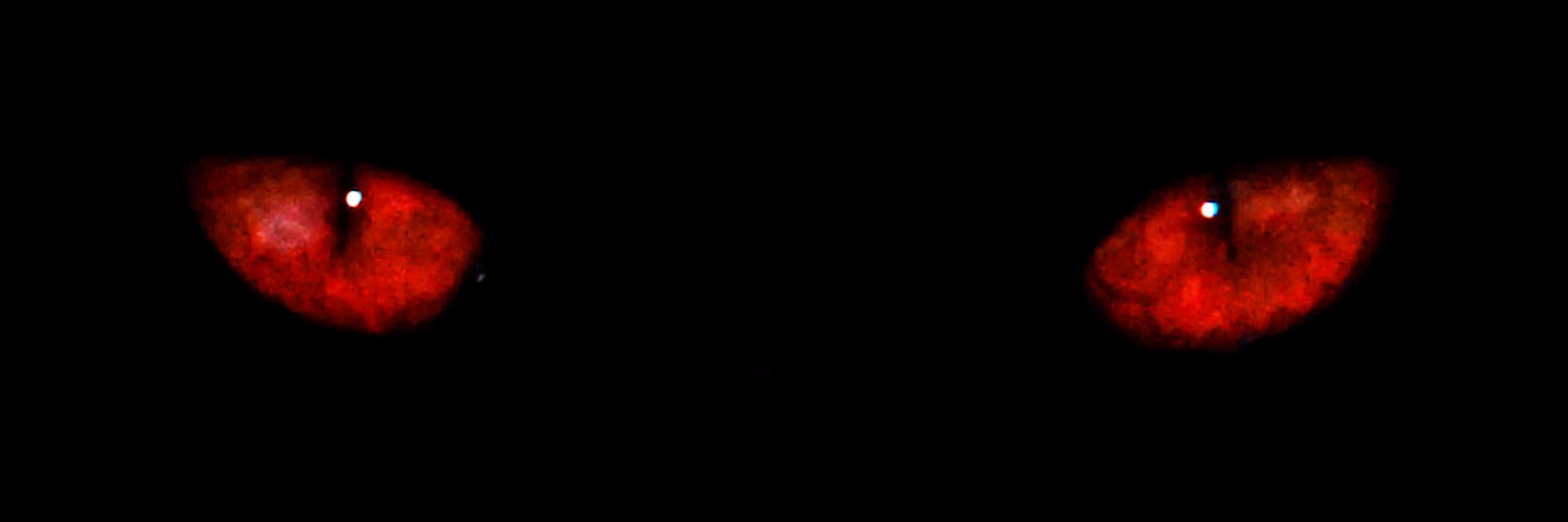 AnfonyB's profile banner image