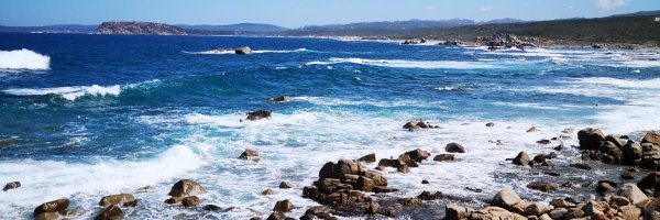 Fra0816M Profile Banner