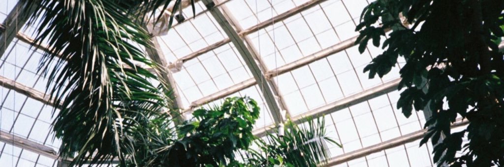 Laura_afg's profile banner image