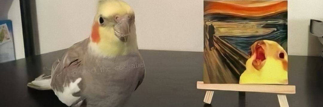 PedrorRyan's profile banner image