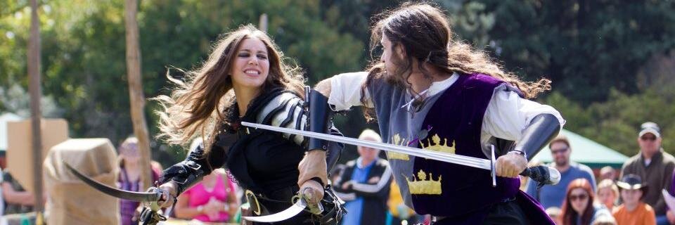 Royal Medieval Faire banner