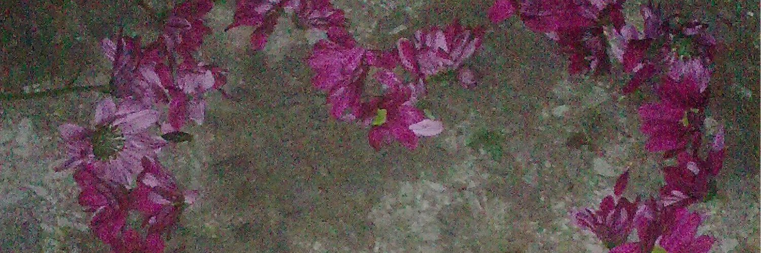 loraine ledwell banner