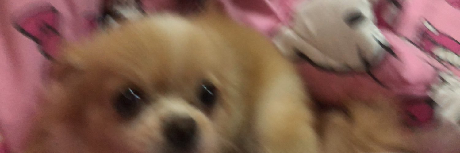 m*yu banner