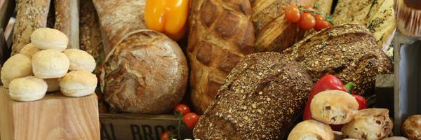 FantasticPanino Profile Banner