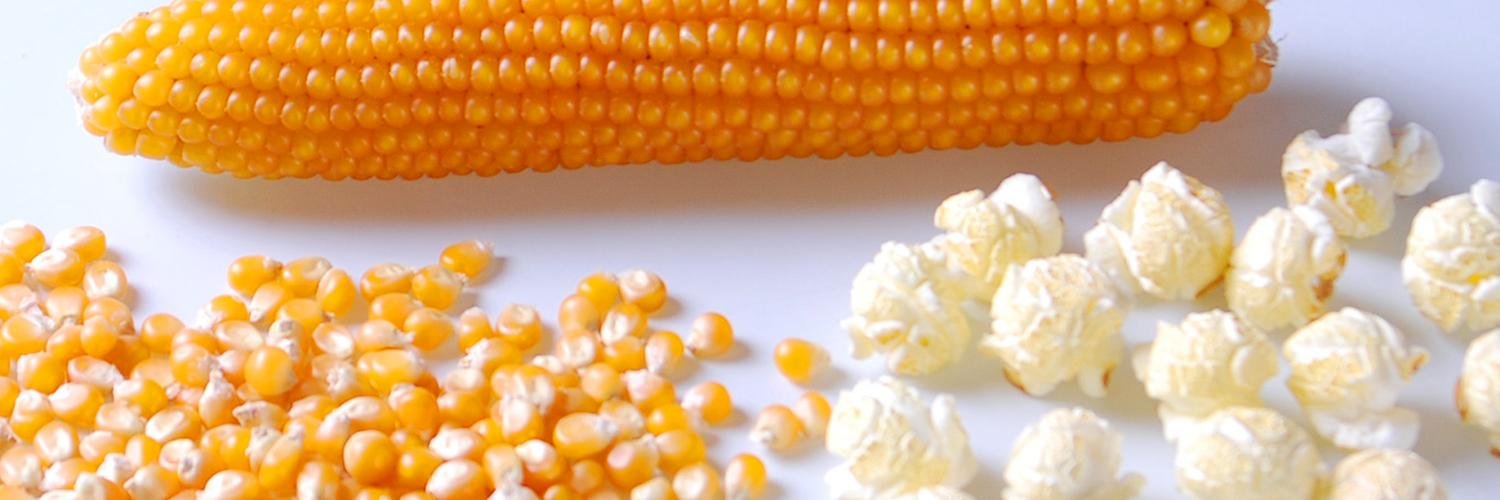popcornface's profile banner image
