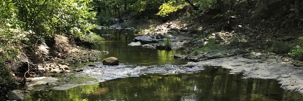 DolphynDesigns Profile Banner