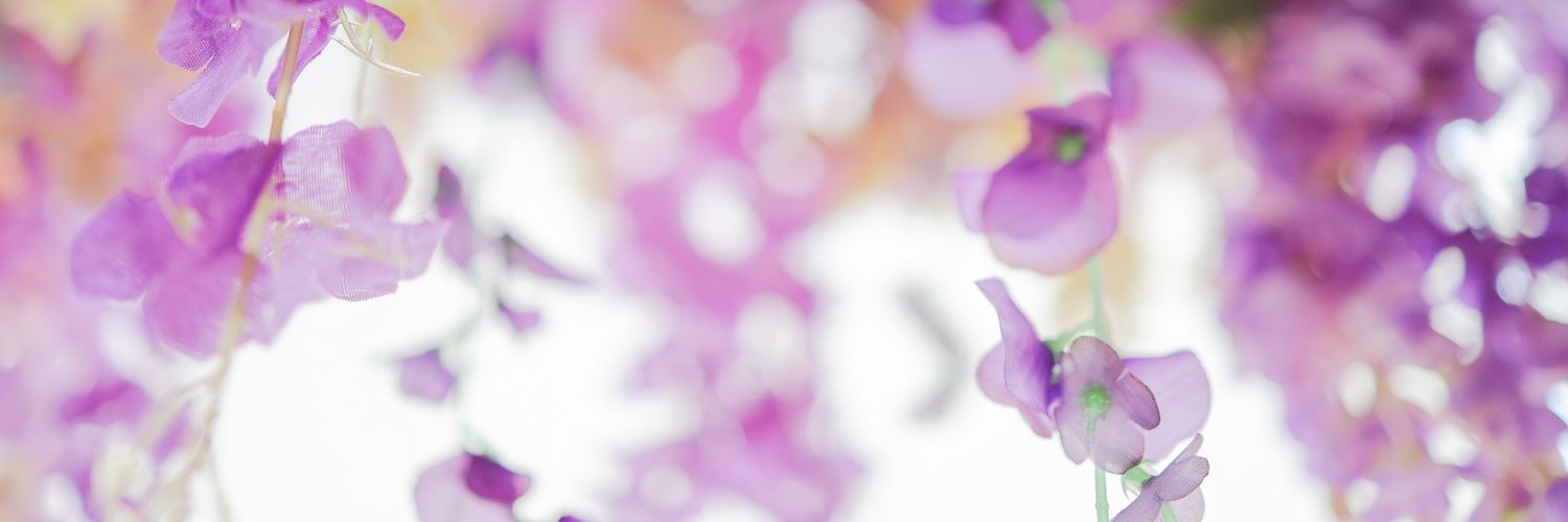 yt407419's profile banner image